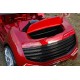 Elektromobilis vaikams ROADSTER EXCLUSIVE Lakuotas QLS8188