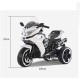 Elektriskais klusais trīsriteņu motocikls "Speed ​​​​1200 GS" White