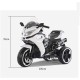 Elektriskais klusais trīsriteņu motocikls "Speed ​​​​1200 GS" (dzelzs)