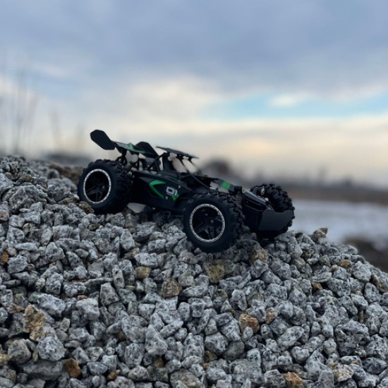 RC Auto ar tālvadības pulti REROY