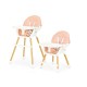 Barošanas krēsls Ecotoys Rose New 2in1