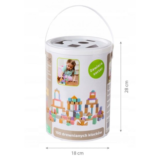 Lavinamosios medinės kaladėlės 100 vnt. Eco toys